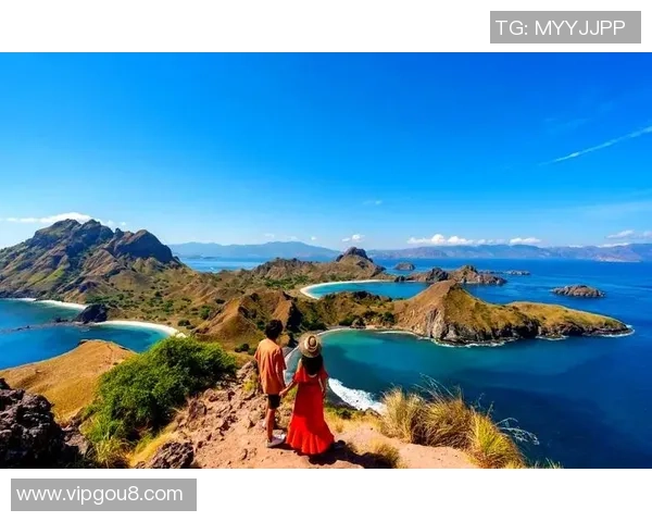 探索阿拉巴的文化魅力与自然风光，感受多元融合的独特魅力与人文底蕴